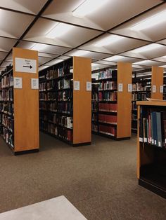 an empty library filled with lots of books