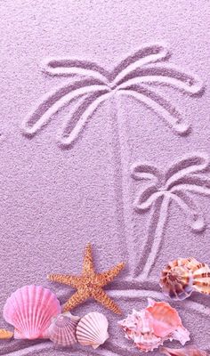 seashells, starfish and palm tree drawn in the sand