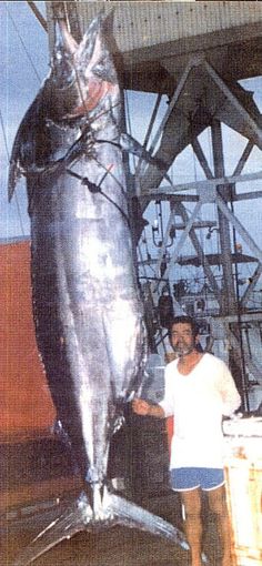 a man standing next to a large fish