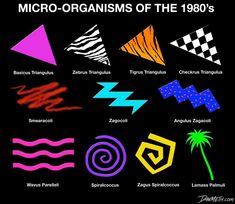 an image of the different types of micro - orgasms of the 1800's