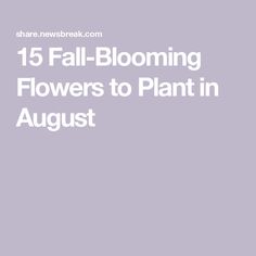 the words, 15 fall blooming flowers to plant in august are shown on a purple background