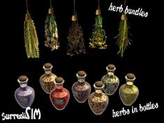 there are many bottles with herbs in them on the black background and words above it