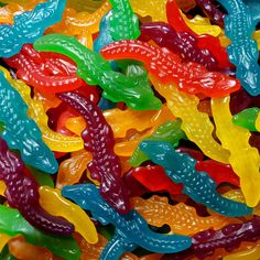 colorful gummy bears are in the shape of lizards