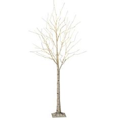 a white tree with no leaves on the top and branches in the bottom, against a white background