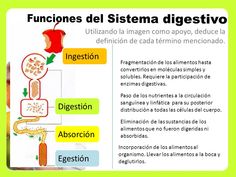 the diagram shows how food is made in different ways