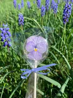 a purple flower is wrapped in plastic and tied to a stick with a blue ribbon