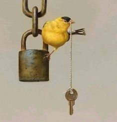 a yellow bird perched on top of a padlock with a key attached to it