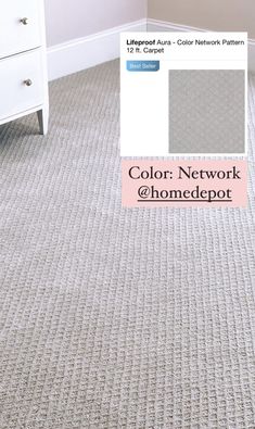 a carpet that has been cleaned and is being used as a color scheme for the home depot