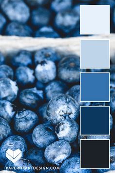 some blueberries are in a basket with the color scheme on top and below them