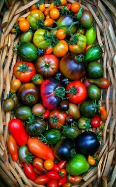 a basket filled with lots of different types of tomatoes