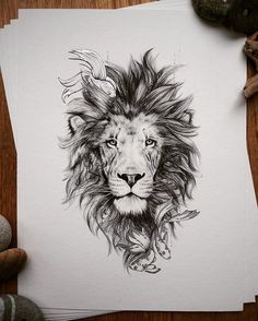 a black and white drawing of a lion's head on paper next to some rocks