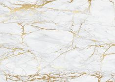 a white and gold marble texture background