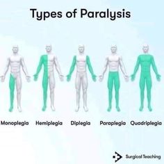 five types of paralysiss are shown in green and white, with text below