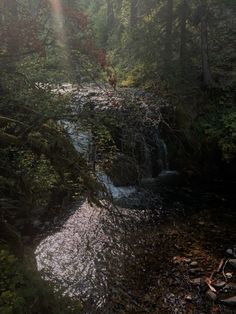 the sun shines brightly through the trees over a small waterfall in the woods on a foggy day