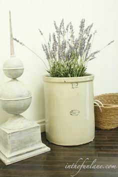 a potted plant sitting next to a white container with lavender in it on a wooden floor