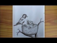 a drawing of two birds sitting on top of a tree branch next to a nest