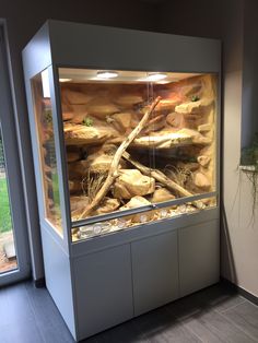 an aquarium with rocks and plants in it