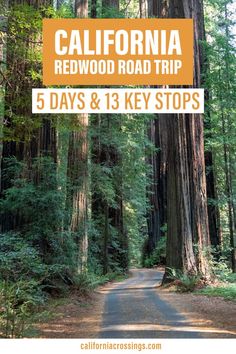 California redwood road trip, 5 days, 13 key stops Redwoods Road Trip, Redwoods National Park, California Places To Visit, South Dakota Road Trip