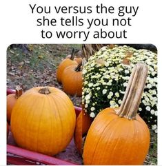 three pumpkins sitting next to each other with the caption, you versus the guy she tells you not to worry about