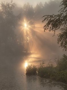 the sun is shining through the foggy sky over a river with trees in the foreground