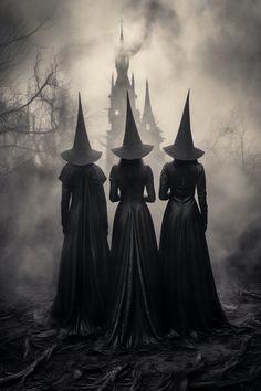 three witches standing in front of a castle on a foggy night with their backs turned to the camera