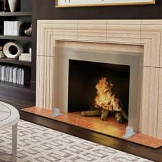 a fire place in the middle of a living room with bookshelves on either side