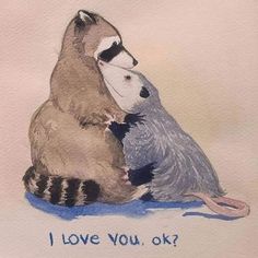 two raccoons hugging each other with the words i love you, ok written below