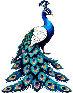 Peacock Collage Art, Peacock Drawing Simple, Iphone Background Art, Cartoons Krishna, Peacock Drawing, Wedding Background Images, Saree Painting, Pillar Design