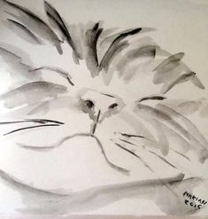 a drawing of a cat with its eyes closed