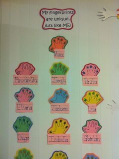 a bulletin board with different types of handprints on it's sides and the words my fingerprints are unique, just like me