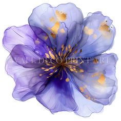 a blue flower with gold stamens on it's center and petals in the middle