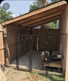 a dog is sitting in its kennel outside