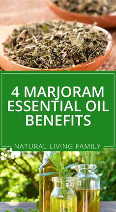 Lemon Balm Essential Oil, Sweet Marjoram, Marjoram Essential Oil, Origanum Majorana, Oregano Essential Oil, Growing Healthy Hair, Essential Oil Diffuser Blends Recipes, Making Essential Oils, Essential Oil Benefits