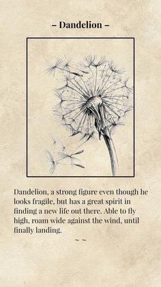 a dandelion is shown in black and white, with the words dandelion above it