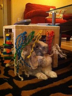 a small dog is sitting in a cardboard box with string on it's head