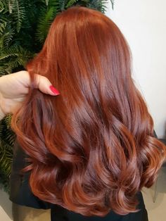 Cooper Brownish Hair, Auburn Shades Haircolor, Red Hair Color Natural Looking, Solid Red Hair Color, Light Radiant Auburn Hair, Copper Hair Red Undertone, Red Hair Ginger Copper, Copper Cola Hair, Orangeish Brownish Hair