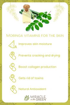 Rolling Back the Years: Using Moringa in Your Anti-Aging Routine A busy life, unfortunately, can mean rapid aging. The modern world contains many factors that contribute to aging skin and a generally tired appearance. Even if we are careful and do our best to stay healthy and protected, it is difficult to avoid these f Health Benefits Of Collagen, Moringa Benefits, Soap Benefits, Yoga Information, Moringa Powder, Skin Advice, Womens Health Care, Boost Collagen Production, Eye Circles