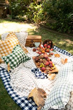 a picnic blanket on the grass with apples and other foods laid out in front of it