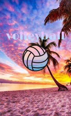 a volleyball ball sitting on top of a sandy beach under a palm tree at sunset