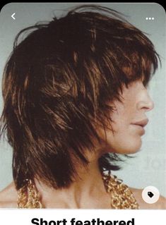 Short Feathered Hairstyles, 2012 Hairstyles, Hairstyles 70s, Feathered Shag, Pictures Of Hairstyles, 70s Pictures, Medium Shaggy Hairstyles, Feathered Hair, Short Layered Bob Hairstyles