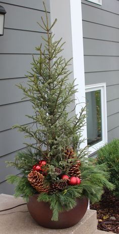 a potted plant with pine cones and ornaments on the ground in front of a house