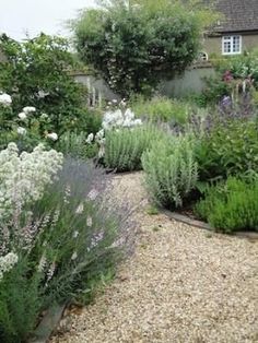 the garden is full of different types of flowers and plants, including lavenders, as well as herbs