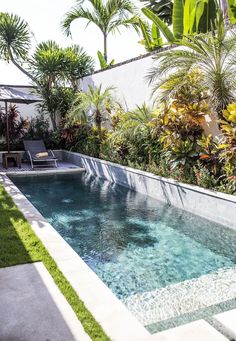 an outdoor swimming pool surrounded by greenery and palm trees in a backyard area with lounge chairs