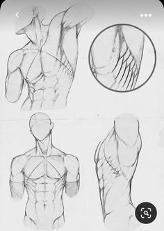 three different views of the back and upper half of a man's torso, from top to bottom