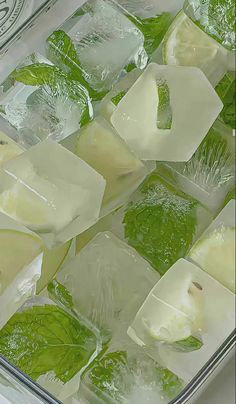 ice cubes with green leaves and water in them