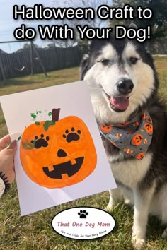 a black and white dog holding up a card with an image of a pumpkin on it