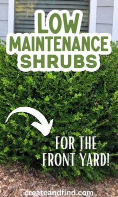 Low maintenance shrubs for the front of house. Easy Landscaping Front Yard, Full Sun Landscaping, Front Porch Landscape, Sidewalk Landscaping, Low Maintenance Landscaping Front Yard, Landscape Ideas Front Yard Curb Appeal, Landscaping Shrubs, Shade Landscaping, Curb Appeal Landscape