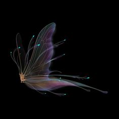 a butterfly flying through the air with its wings spread out and glowing in the dark