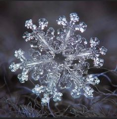 a snowflake is shown in the middle of some grass and it looks like it has