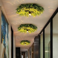 the hallway is decorated with green plants and lights